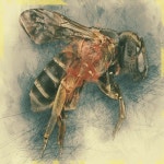 Stream 23 4L music | Listen to songs, albums, playlists for free on SoundCloud 23 4L