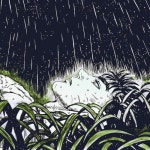 Stream ARSIS | Listen to music playlists online for free on SoundCloud ARSIS