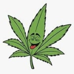 Stream Calboy420 music | Listen to songs, albums, playlists for free on SoundCloud Calboy420