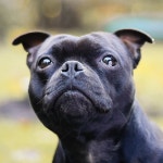 Stream Rohan Beats music | Listen to songs, albums, playlists for free on SoundCloud Rohan Beats