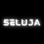 Stream SELUJA music | Listen to songs, albums, playlists for free on SoundCloud SELUJA
