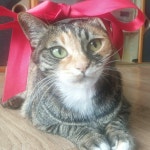 Stream 지엘비(ZIEL’B) music | Listen to songs, albums, playlists for free on SoundCloud 지엘비(ZIEL’B)