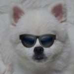 Stream 아카펠라-LG-굿모닝-빠빠빠-벨소리.mp3 by 한솔 | Listen online for free on SoundCloud 아카펠라-LG-굿모닝-빠빠빠-벨소리.mp3