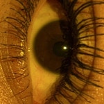 Stream j music | Listen to songs, albums, playlists for free on SoundCloud j