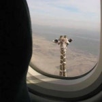 Stream ยุ่น music | Listen to songs, albums, playlists for free on SoundCloud ยุ่น