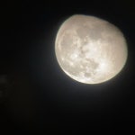 Stream futoon music | Listen to songs, albums, playlists for free on SoundCloud futoon