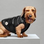 Stream iRicky music | Listen to songs, albums, playlists for free on SoundCloud iRicky