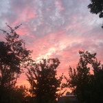 백승지 | 승지 백 | Free Listening on SoundCloud 백승지