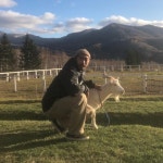 Stream polly music | Listen to songs, albums, playlists for free on SoundCloud polly