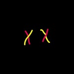 Stream Robin! music | Listen to songs, albums, playlists for free on SoundCloud Robin!
