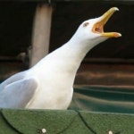 Stream HyoI music | Listen to songs, albums, playlists for free on SoundCloud HyoI