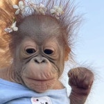 Stream 정선생 music | Listen to songs, albums, playlists for free on SoundCloud 정선생