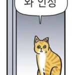 Stream 포도가포동포동해 music | Listen to songs, albums, playlists for free on SoundCloud 포도가포동포동해