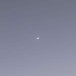 Carla. | Carla  | Free Listening on SoundCloud Carla.