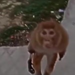 Stream northaccent music | Listen to songs, albums, playlists for free on SoundCloud northaccent