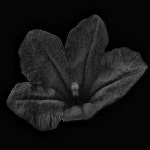 주식회사 한운국제 | Stream 한운 music | Listen to songs, albums, playlists for free on SoundCloud 한운
