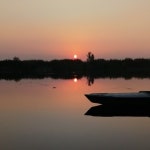 Stream Khaled Elhares music | Listen to songs, albums, playlists for free on SoundCloud Khaled Elhares