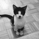 Stream Laett.be music | Listen to songs, albums, playlists for free on SoundCloud Laett.be