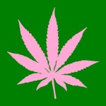 Stream ☆ 420 KENDOLL ☆ music | Listen to songs, albums, playlists for free on SoundCloud ☆ 420 KENDOLL ☆