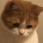 Stream _ music | Listen to songs, albums, playlists for free on SoundCloud _