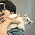 Stream 헌일(Hunil) | Listen to music albums online for free on SoundCloud 헌일(Hunil)