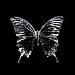 Stream SHARQI music | Listen to songs, albums, playlists for free on SoundCloud SHARQI