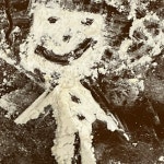 Stream 구본근 music | Listen to songs, albums, playlists for fr...