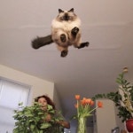 Stream hhui music | Listen to songs, albums, playlists for free on SoundCloud hhui