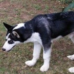 Stream Soup music | Listen to songs, albums, playlists for free on SoundCloud Soup