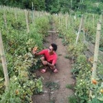 Stream Rusdy Pora music | Listen to songs, albums, playlists for free on SoundCloud Rusdy Pora