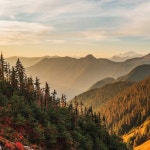 Stream 𝕫𝕒𝕔𝕙 ✰ music | Listen to songs, albums, playlists for free on SoundCloud 𝕫𝕒𝕔𝕙 ✰