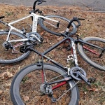 Stream 대구광역시 수성구 신매동 12픽도 music | Listen to... playlists for free on SoundCloud 대구광역시 수성구 신매동 12픽도