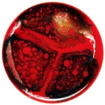 Stream Orhus music | Listen to songs, albums, playlists for free on SoundCloud Orhus