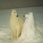 Stream Alex G Enjoyer♡ music | Listen to songs, albums, playlists for free on SoundCloud Alex G Enjoyer♡