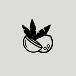 여원에스테틱 | The Coconut Network | Free Listening on SoundCloud The Coconut Network