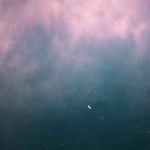 재주 | 재 주 | Free Listening on SoundCloud 재주