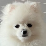 Stream 루루 | Listen to music albums online for free on SoundCloud 루루