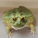 Stream 형진이아빠 music | Listen to songs, albums, playlists for free on SoundCloud 형진이아빠