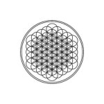 Stream N.P.A music | Listen to songs, albums, playlists for free on SoundCloud N.P.A
