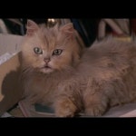 Stream June Hepburn music | Listen to songs, albums, playlists for free on SoundCloud June Hepburn