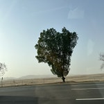 Stream omar music | Listen to songs, albums, playlists for free on SoundCloud omar