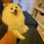 Stream Caio music | Listen to songs, albums, playlists for free on SoundCloud Caio