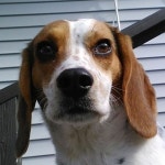 Stream wheezesus music | Listen to songs, albums, playlists for free on SoundCloud wheezesus