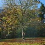 Stream Hajer Amri music | Listen to songs, albums, playlists for free on SoundCloud Hajer Amri