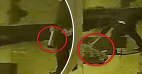 Cops trick serial killer suspect into attacking mannequin in savage sledgehammer assault - Daily Star Cops trick serial killer... 