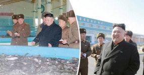 Kim Jong-un pictured laughing at catfish farm as cops probe brothers death - Daily Star Kim Jong-un pictured laughing at catfish... 