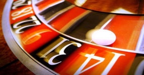 Gambling on the net - Daily Star Gambling on the net