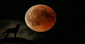 Why does the Super Blood Wolf Moon turn red? - Daily Star Eclipse 2019: What is a lunar eclipse? Why does the Super Blood Wolf... 