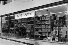 Pet shop where an ape lived inside is now a JD Wetherspoon - Liverpool Echo Pet shop where an ape lived inside is now a Wetherspoon