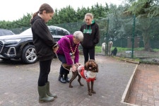19 adorable pictures as animal sanctuary opens doors on bright future - Liverpool Echo 19 adorable pictures as animal sanctuary... 